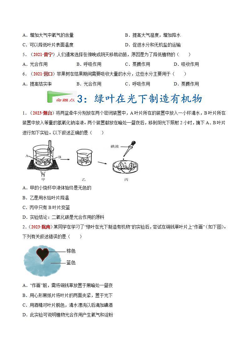 【备战2024中考】一轮复习 初中生物 真题分项汇编 专题04 绿色植物的蒸腾作用、光合作用和呼吸作用(原卷+解析).zip03