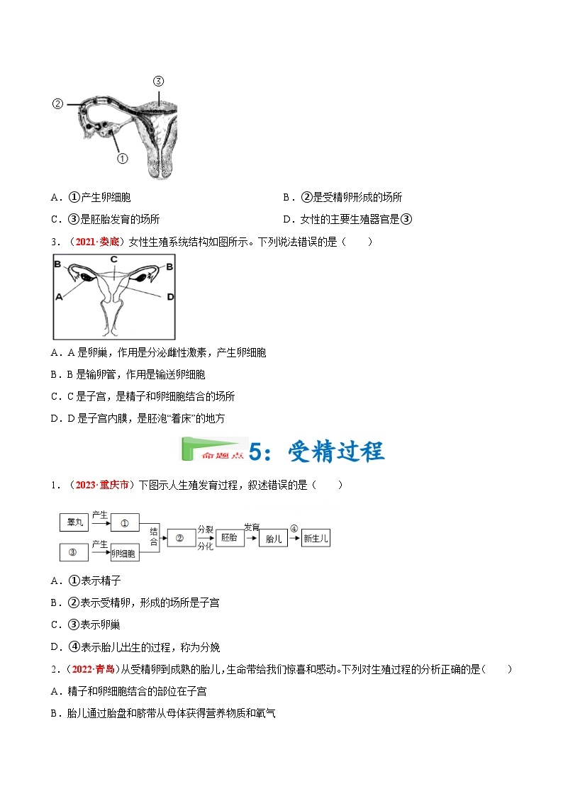 【备战2024中考】一轮复习 初中生物 真题分项汇编 专题05 人的由来（原卷+解析）.zip03