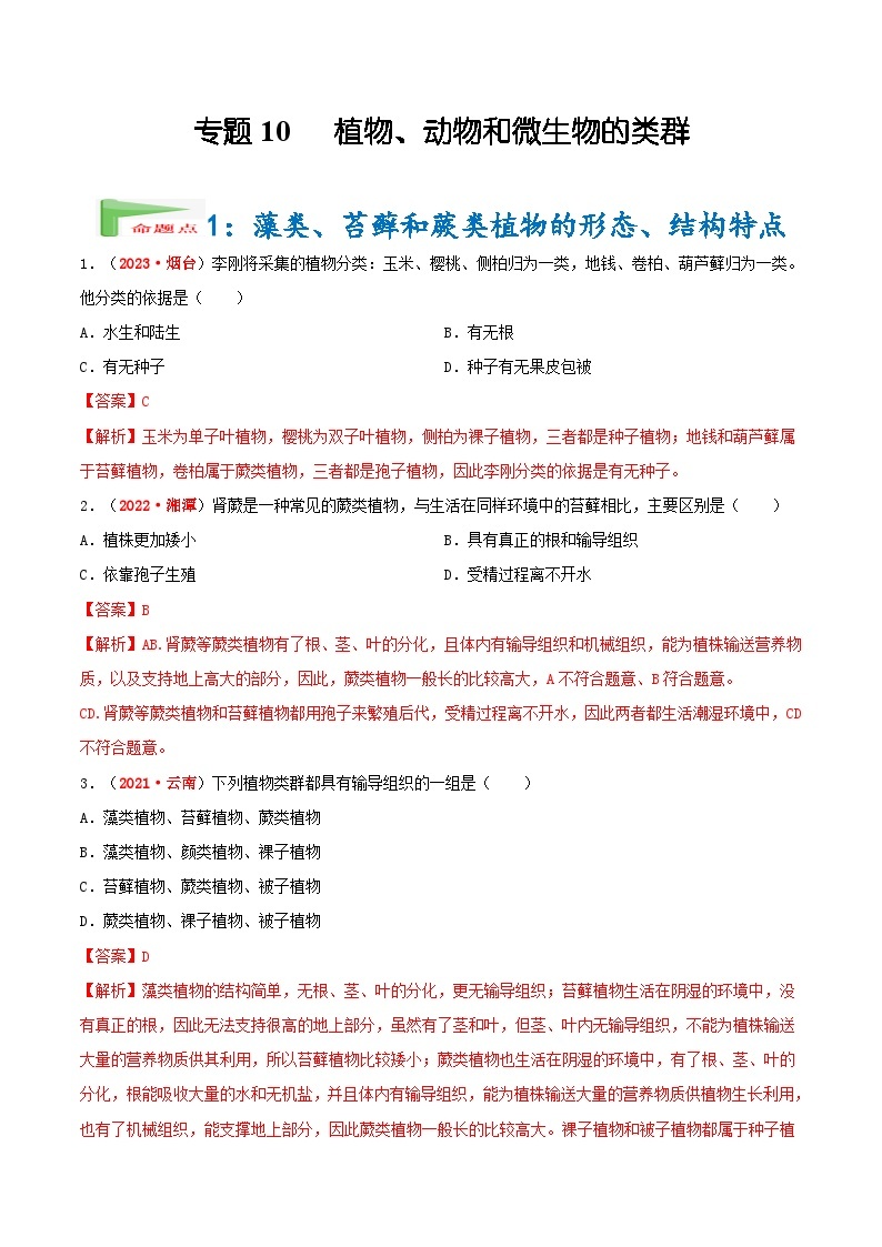 【备战2024中考】一轮复习 初中生物 真题分项汇编 专题10 植物、动物和微生物类群（原卷+解析）.zip01