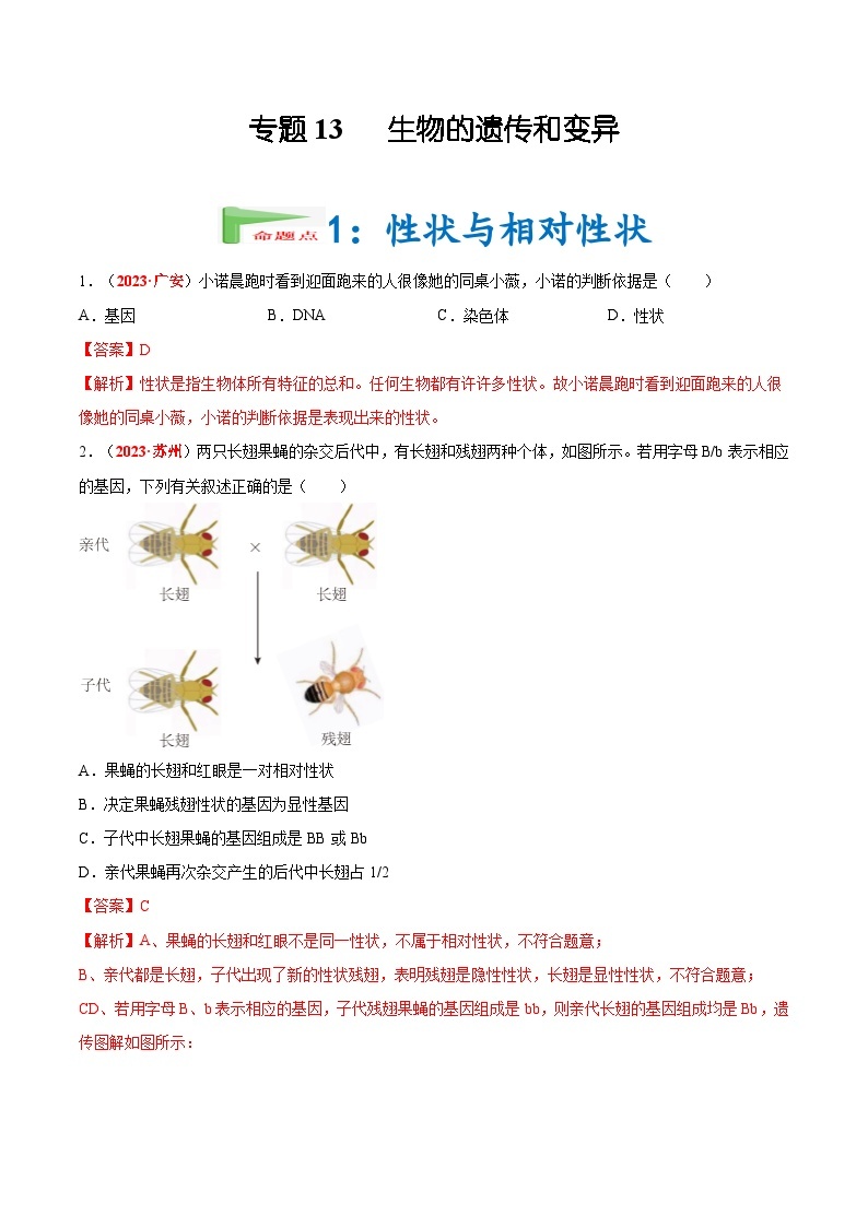 【备战2024中考】一轮复习 初中生物 真题分项汇编 专题13 生物的遗传和变异（原卷+解析）.zip01