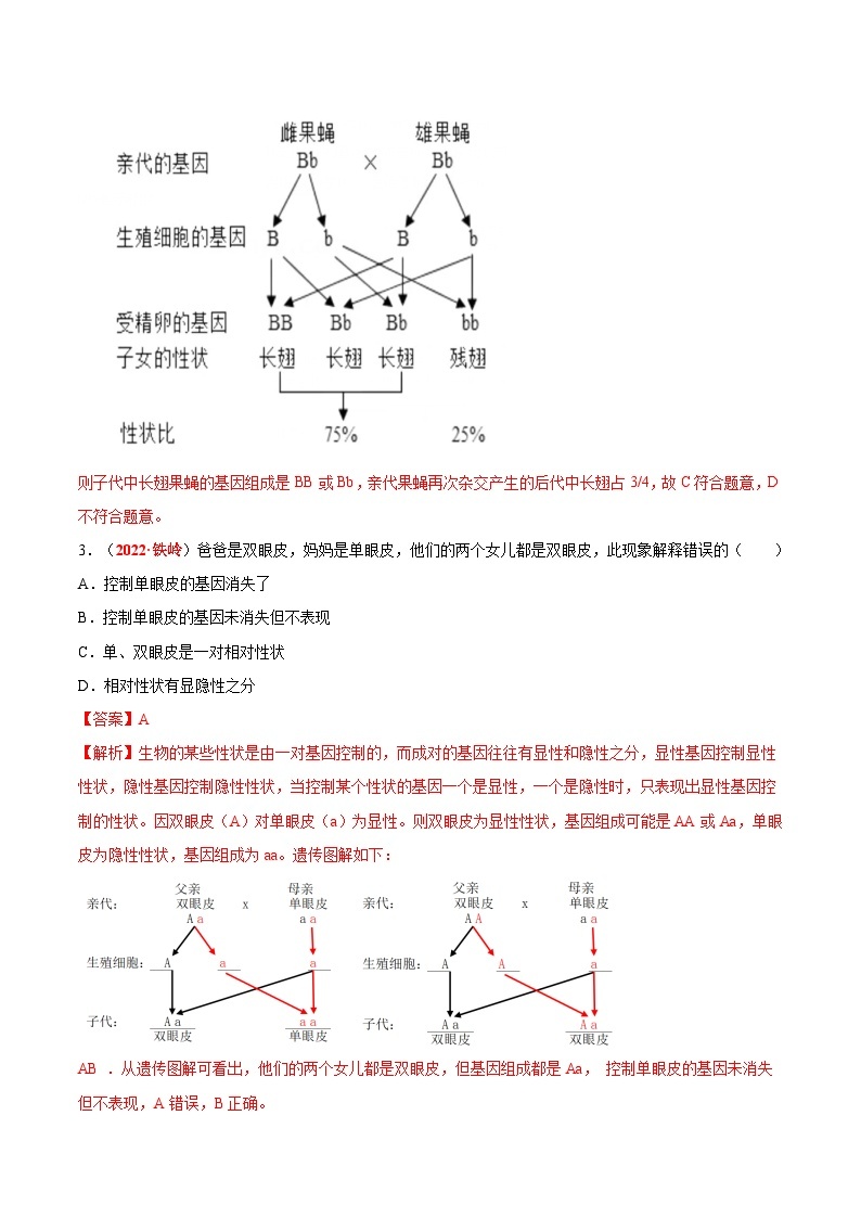 【备战2024中考】一轮复习 初中生物 真题分项汇编 专题13 生物的遗传和变异（原卷+解析）.zip02