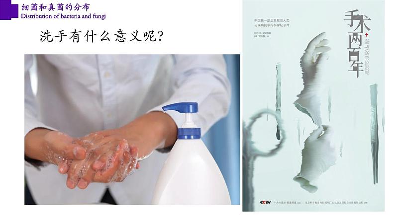 5.4.1+细菌和真菌的分布-【精华备课】2023-2024学年八年级生物上册同步教学课件(人教版)02