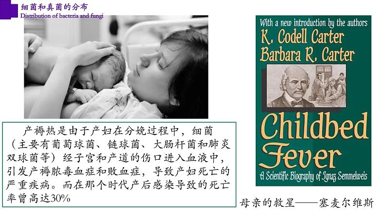 5.4.1+细菌和真菌的分布-【精华备课】2023-2024学年八年级生物上册同步教学课件(人教版)03