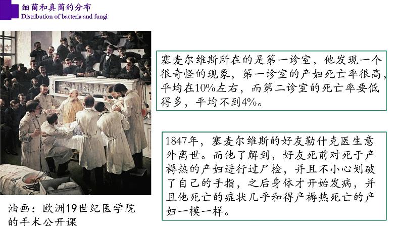 5.4.1+细菌和真菌的分布-【精华备课】2023-2024学年八年级生物上册同步教学课件(人教版)05
