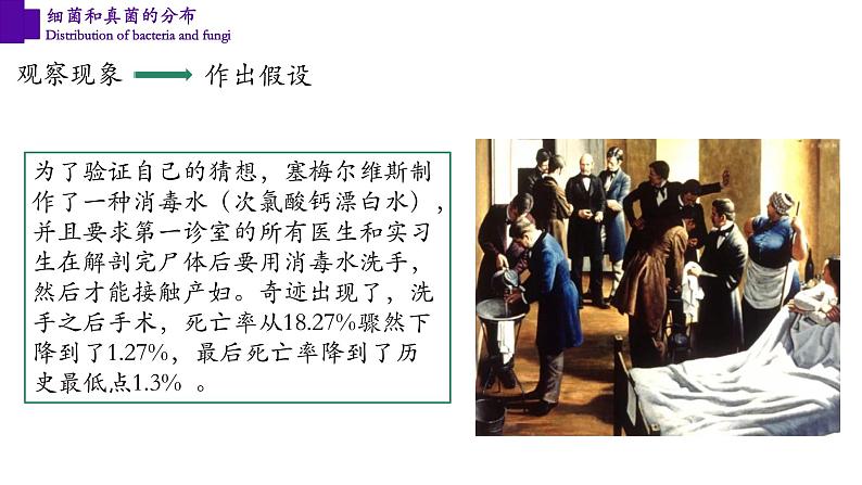 5.4.1+细菌和真菌的分布-【精华备课】2023-2024学年八年级生物上册同步教学课件(人教版)07