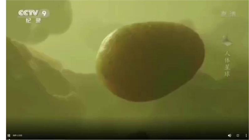 5.4.2 细菌第2页