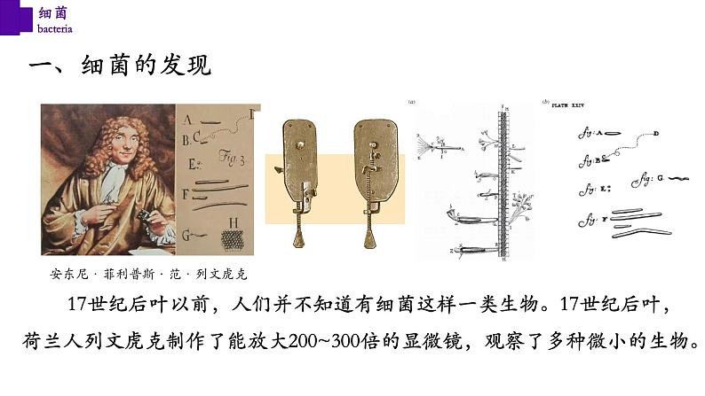 5.4.2 细菌第4页