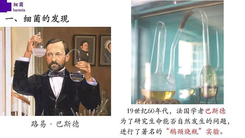 5.4.2 细菌第7页