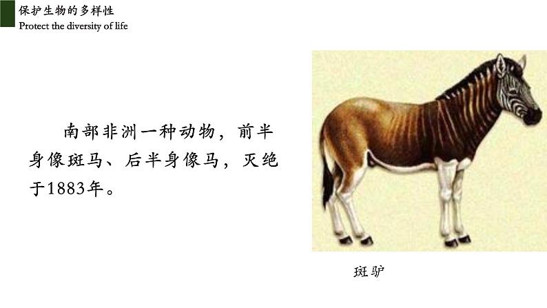 6.3+保护生物多样性-2023-2024学年八年级生物上册同步教学课件(人教版)04