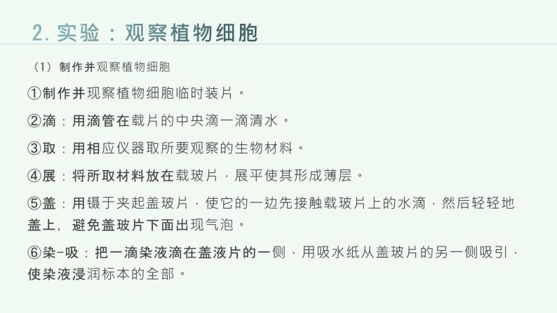 第二单元生物层结构层次复习课件2023--2024学年人教版生物七年级上册06