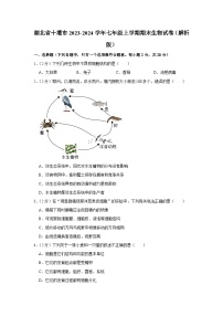 33，湖北省十堰市2023-2024学年七年级上学期期末生物试卷