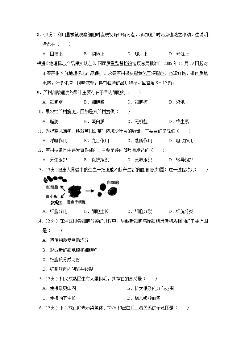 59,福建省泉州市永春县2023-2024学年七年级上学期期末生物试卷02
