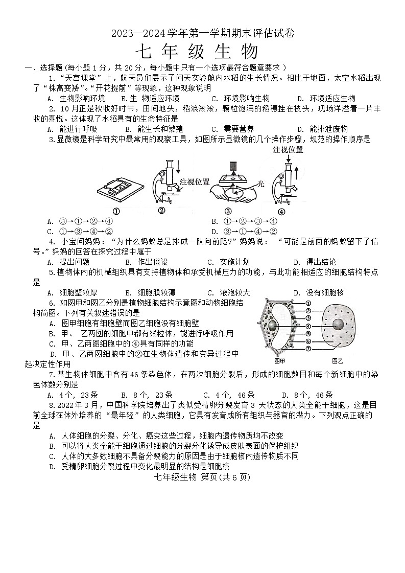 65，河南省平頂山市寶豐縣2023-2024學(xué)年七年級(jí)上學(xué)期期末生物試題第1頁(yè)