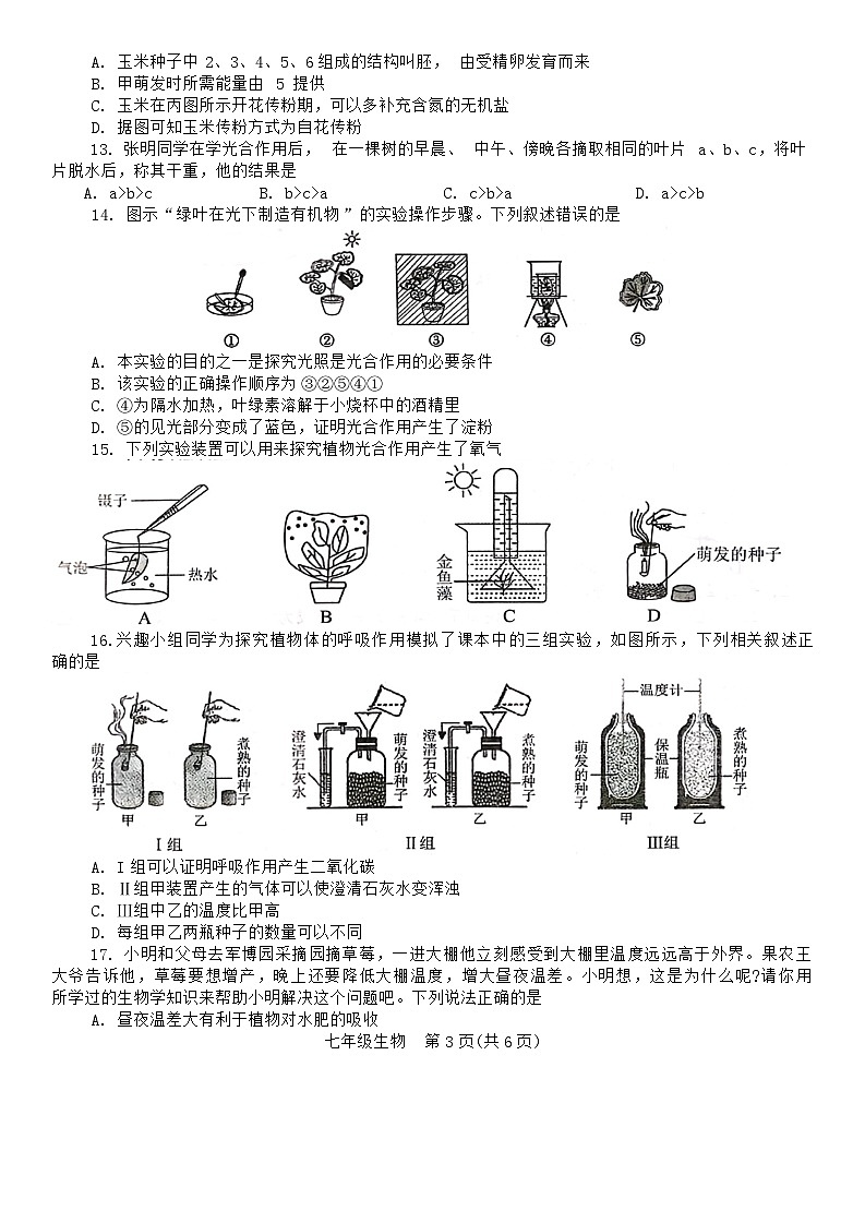 65，河南省平頂山市寶豐縣2023-2024學(xué)年七年級(jí)上學(xué)期期末生物試題第3頁(yè)