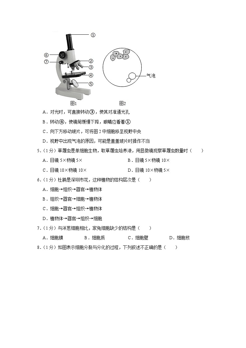 河南省洛阳市洛宁县2023-2024学年七年级上学期期末生物试卷第2页