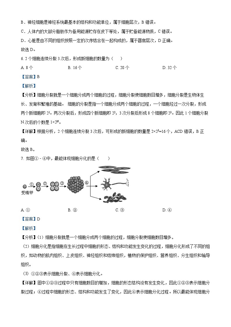 河南省驻马店市第二初级中学2023-2024学年七年级上学期期末生物试题第3页