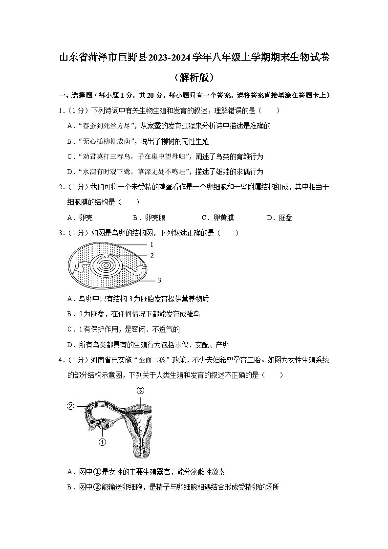 山东省菏泽市巨野县2023-2024学年八年级上学期期末生物试卷01