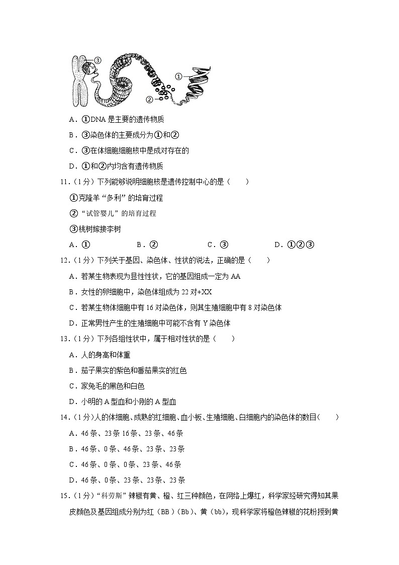 山东省菏泽市巨野县2023-2024学年八年级上学期期末生物试卷03