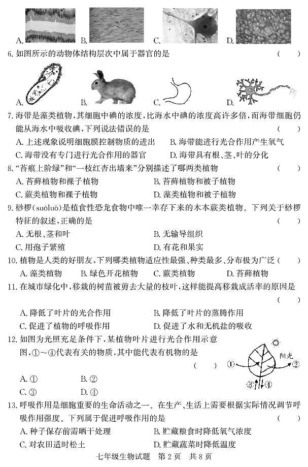 山东省济宁市泗水县2023-2024学年七年级上学期期末考试生物试题02
