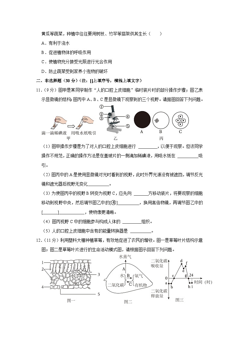 34,山西省吕梁市离石区2023-2024学年七年级上学期期末生物试卷第3页