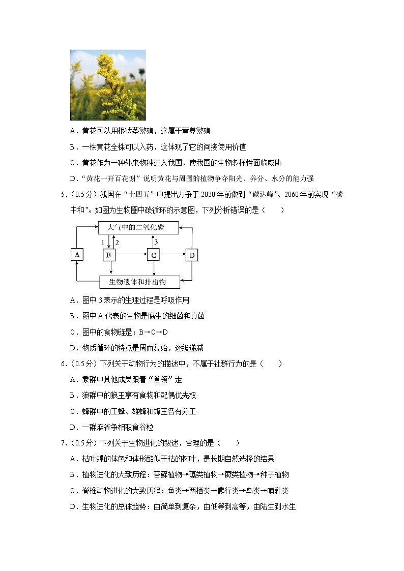 36,江苏省盐城市建湖县2023-2024学年八年级上学期期末生物试卷第2页