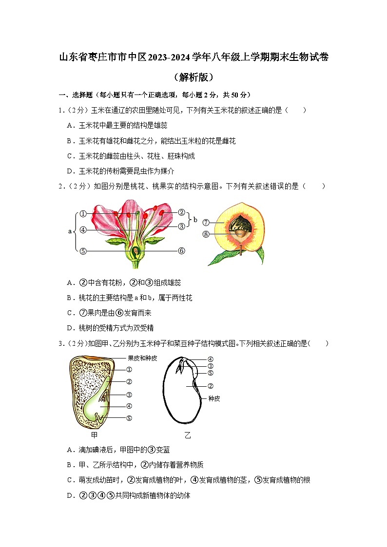 山东省枣庄市市中区2023-2024学年八年级上学期期末生物试卷第1页
