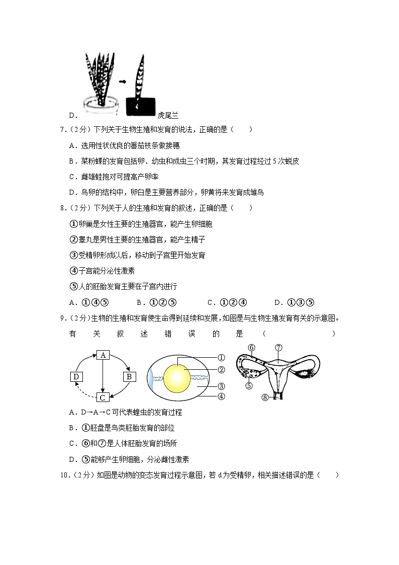 山东省枣庄市市中区2023-2024学年八年级上学期期末生物试卷第3页