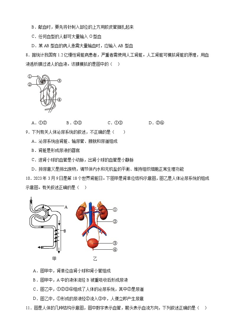 2023-2024学年苏科版八年级上册生物第十五章《人体内平衡的维持》单元检测卷(含答案解析)第3页