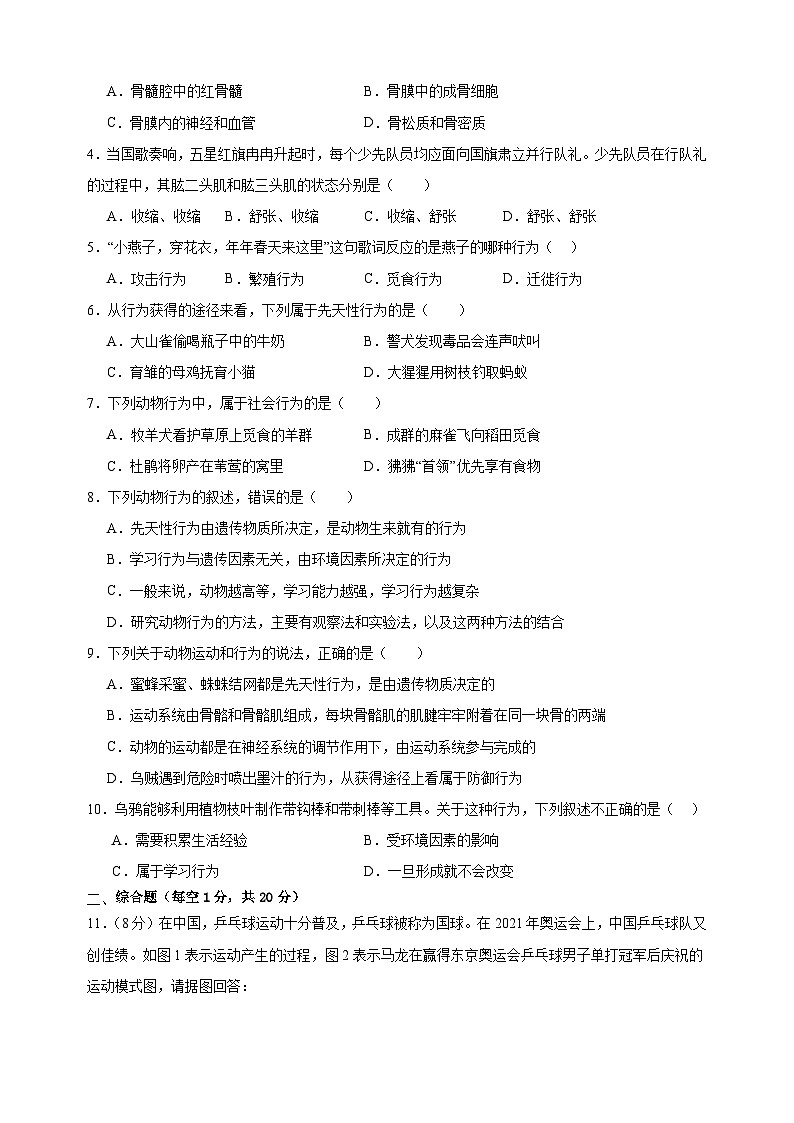 2023-2024学年苏科版八年级上册生物第十七章《动物的运动与行为》单元检测卷(含答案解析)第2页