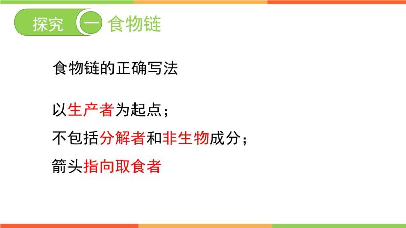 6.2.2+食物链和食物网课件2023--2024学年济南版生物八年级下+册05