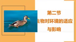 6.1.2+生物对环境的适应与影响课件2023--2024学年济南版生物八年级下+册