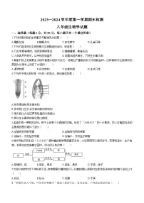 山东省济宁市邹城市2023-2024学年八年级上学期期末检测生物试题