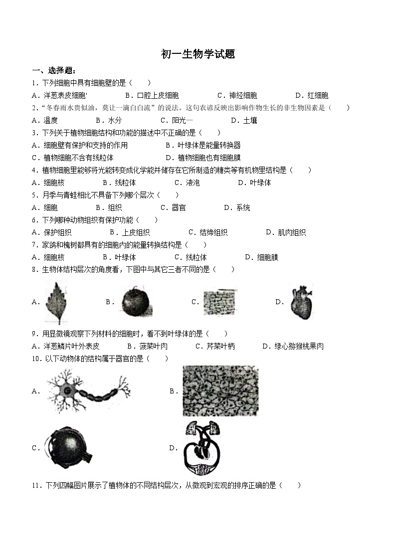 山东省淄博市淄川区（五四制）2023-2024学年六年级上学期期末生物试题01