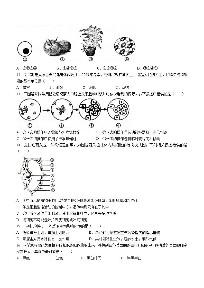 山东省淄博市淄川区（五四制）2023-2024学年六年级上学期期末生物试题02