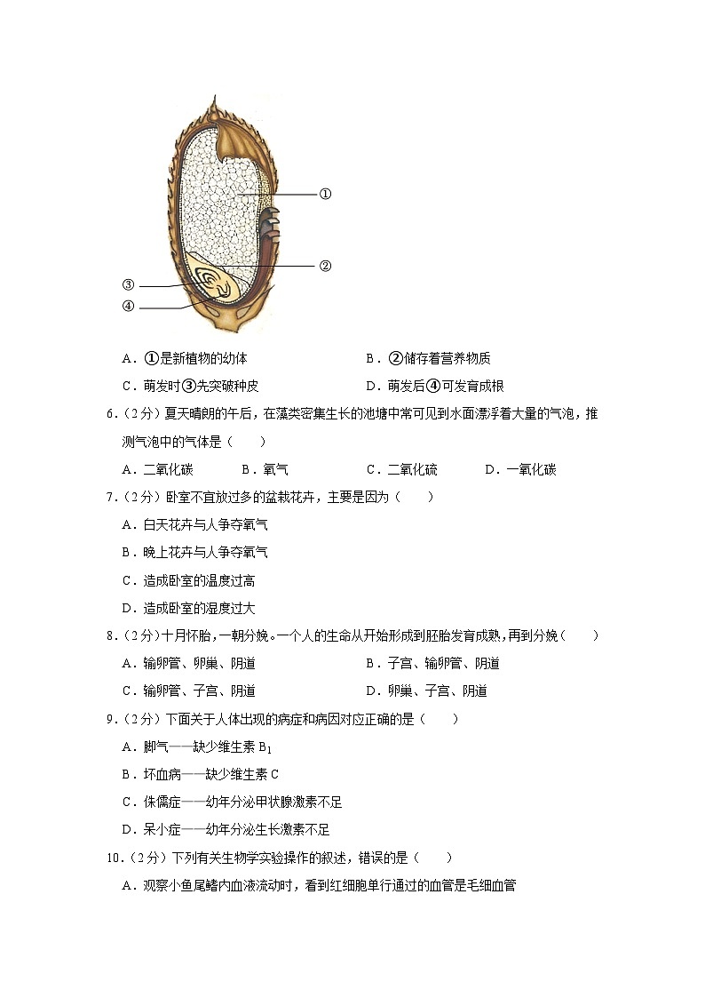 2023年湖南省邵阳市中考生物模拟试卷(一)解析版02