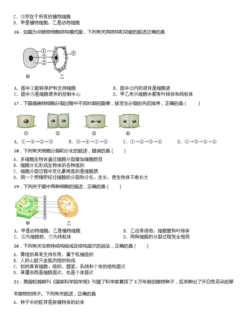 福建省莆田市2022-2023学年七年级上学期期中模拟练习生物试题第3页