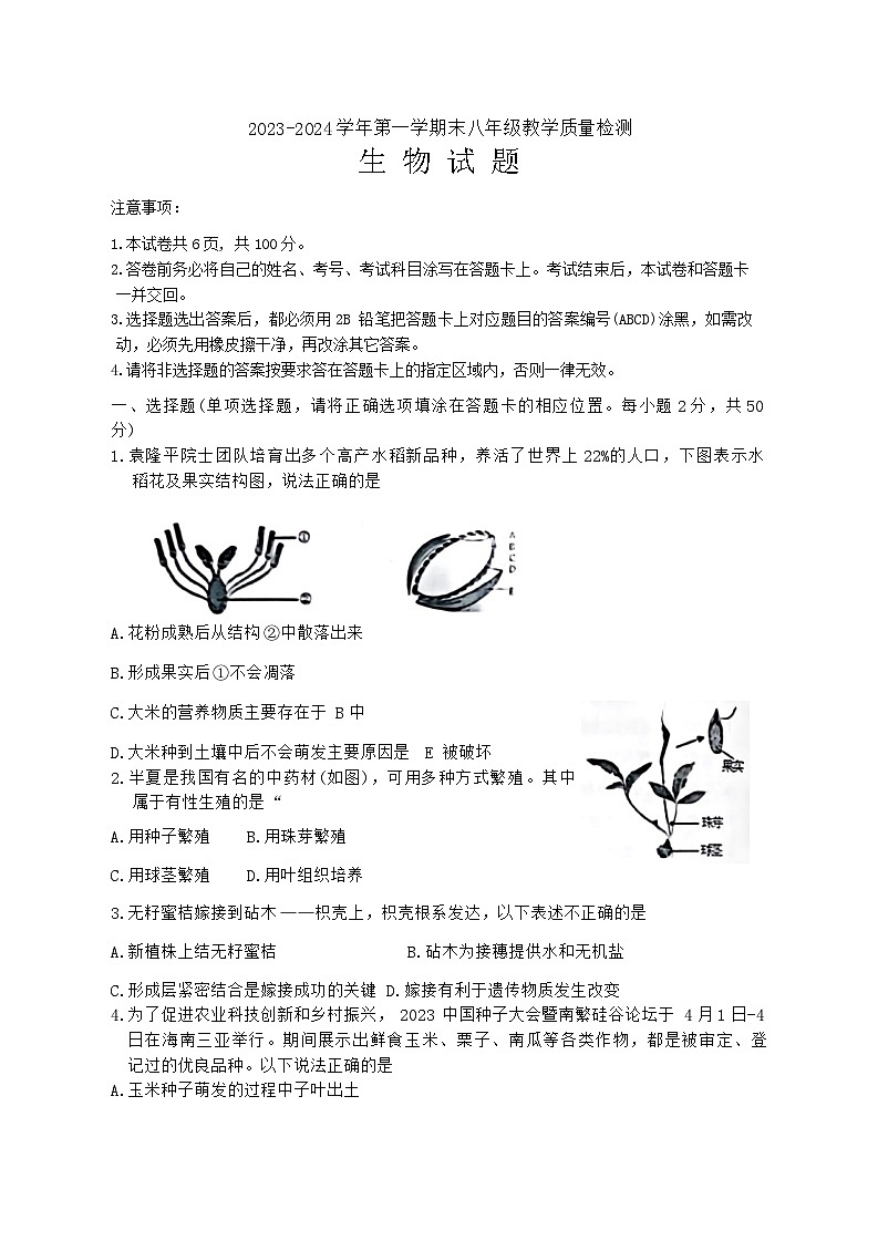 山东省德州市宁津县2023-2024学年八年级上学期期末生物试题01