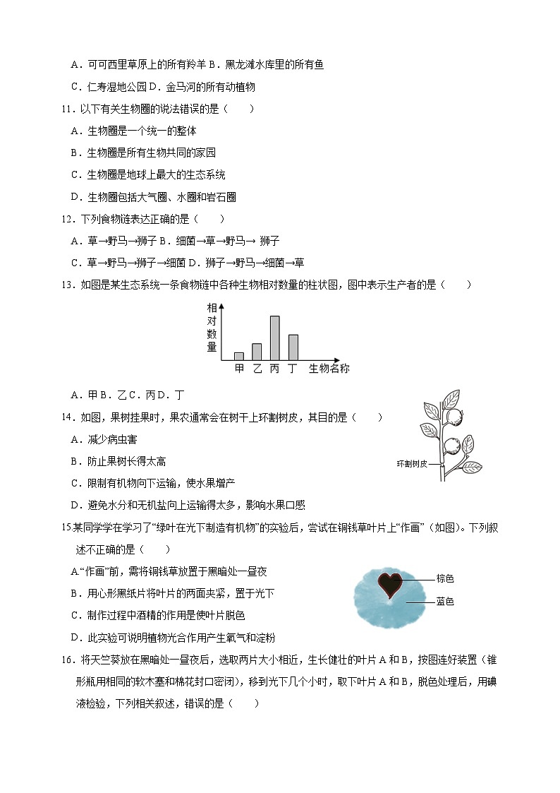 2023-2024学年苏科版七年级上学期生物期末模拟试卷(含答案解析)第3页