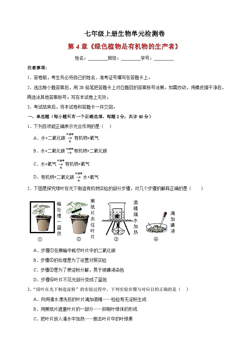 2023-2024学年苏科版七年级上册生物第4章《绿色植物是有机物的生产者》单元检测卷(含答案解析)01