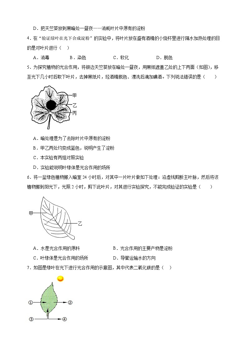 2023-2024学年苏科版七年级上册生物第4章《绿色植物是有机物的生产者》单元检测卷(含答案解析)02