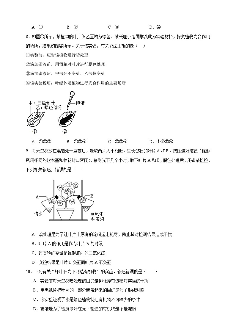 2023-2024学年苏科版七年级上册生物第4章《绿色植物是有机物的生产者》单元检测卷(含答案解析)03