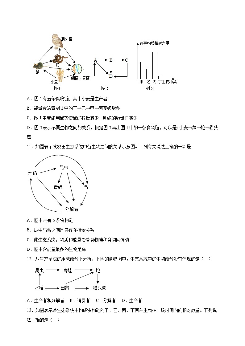 2023-2024学年苏科版七年级上册生物第6章《生物之间的食物关系》单元检测卷（含答案解析）03