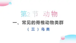 4.2.1 脊椎动物（三）鸟类（教学课件）-2022-2023学年八年级生命科学同步精品课堂（沪教版第二册）