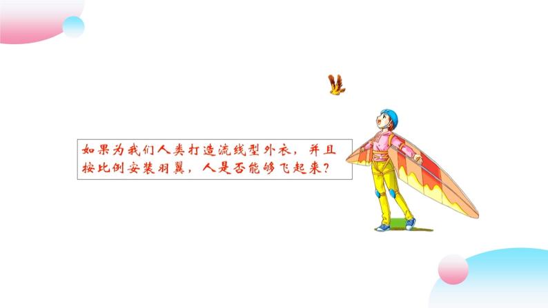 4.2.1 脊椎动物（三）鸟类（教学课件）-2022-2023学年八年级生命科学同步精品课堂（沪教版第二册）07