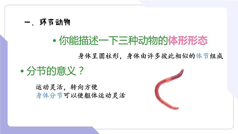 4.2.2+无脊椎动物(三)+环节动物、软体动物(教学课件)-2022-2023学年八年级生命科学同步精品课堂(沪教版第二册)第4页