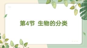 生物八年级下册 生命科学第四节 生物的分类教学ppt课件