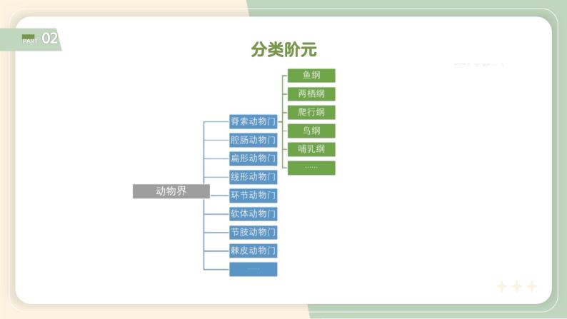 4.4 生物的分类（教学课件）-2022-2023学年八年级生命科学同步精品课堂（沪教版第二册）07