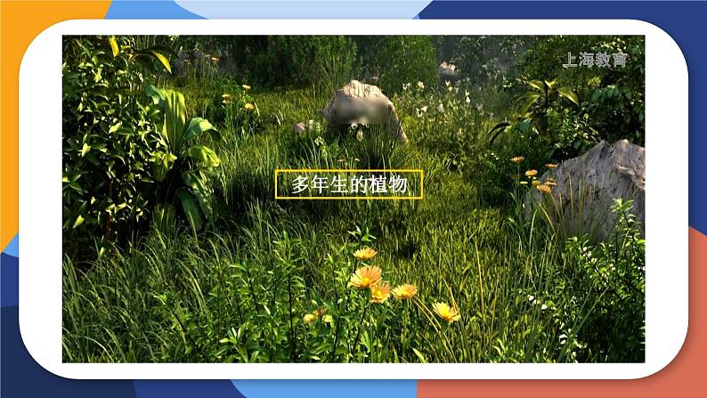 5.3+生态系统的稳定性(教学课件)-2022-2023学年八年级生命科学同步精品课堂(沪教版第二册)第6页