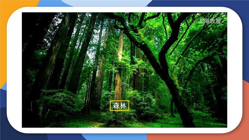 5.3+生态系统的稳定性(教学课件)-2022-2023学年八年级生命科学同步精品课堂(沪教版第二册)第7页
