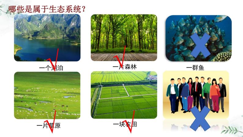 5.2.2 多种多样的生态系统（教学课件）-2022-2023学年八年级生命科学同步精品课堂（沪教版第二册）04